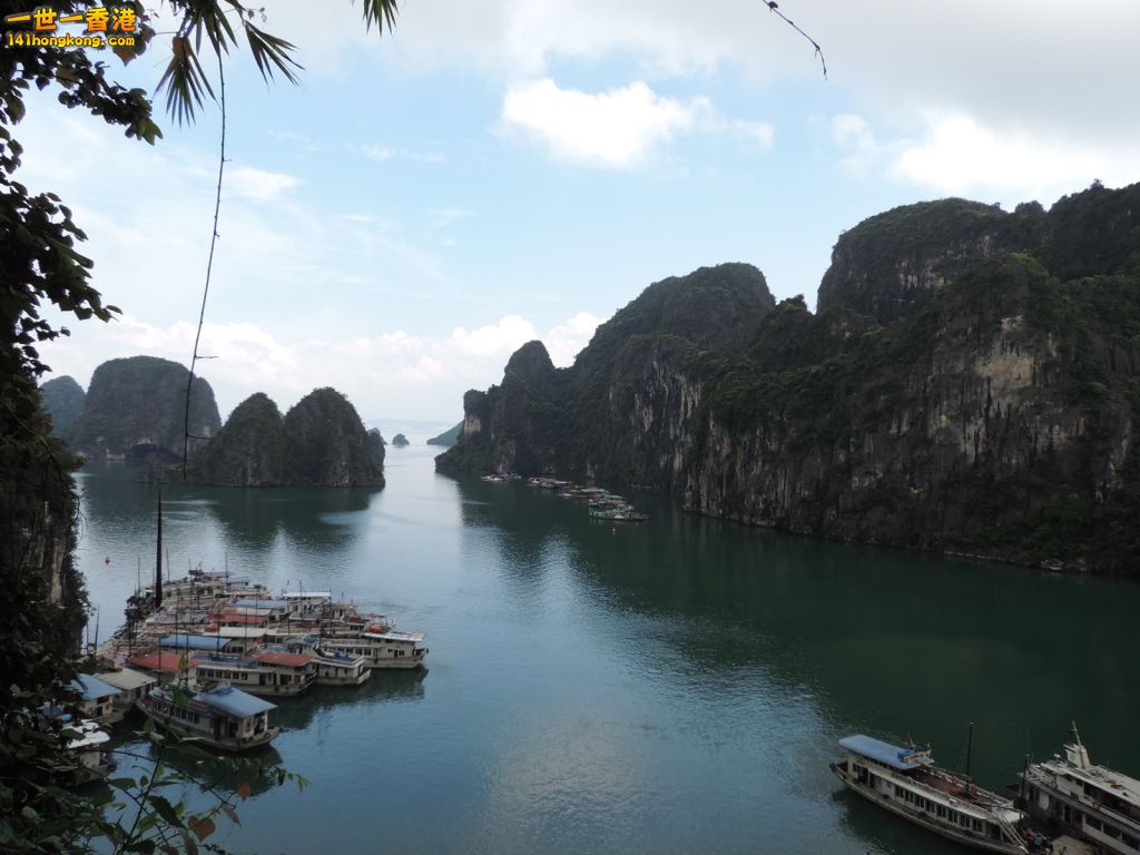 DSCN6183.JPG