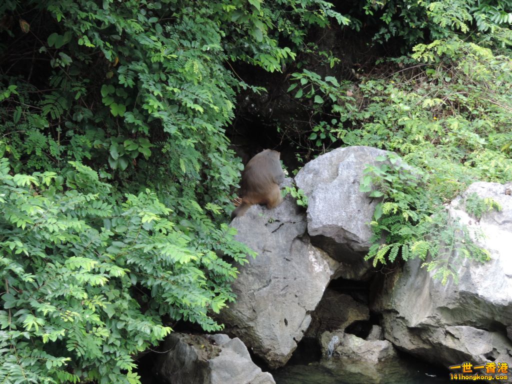 DSCN6192.JPG