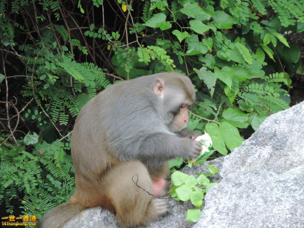 DSCN6193.JPG