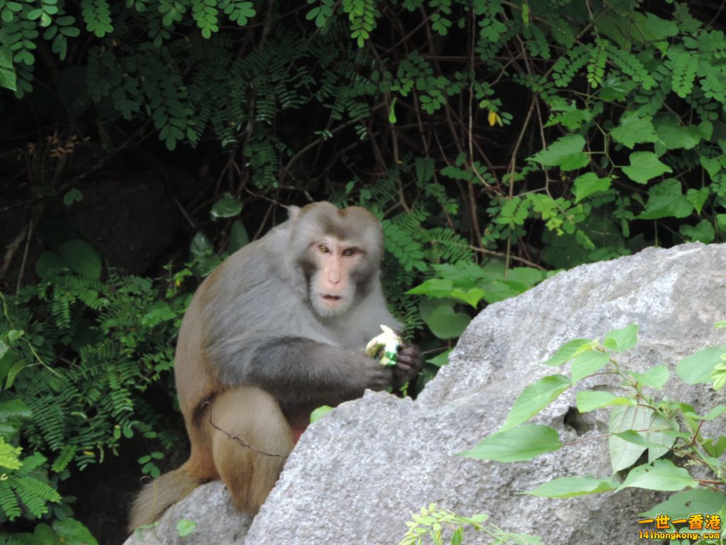 DSCN6194.JPG