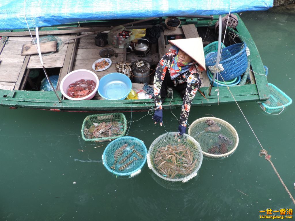 DSCN6198.JPG