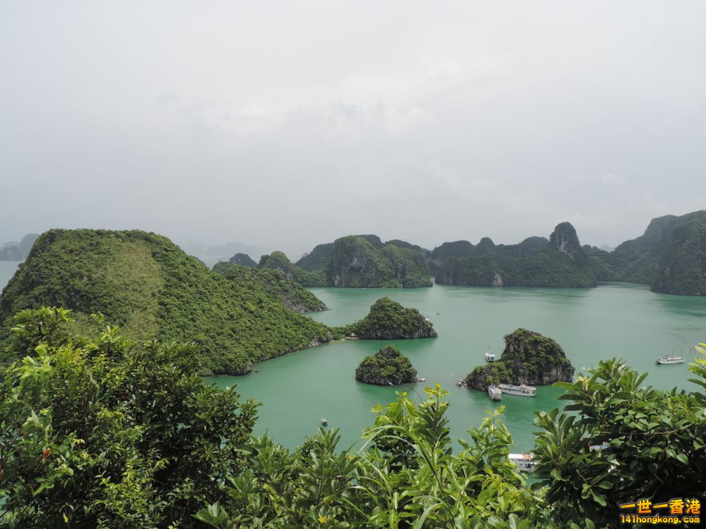 DSCN6218.JPG