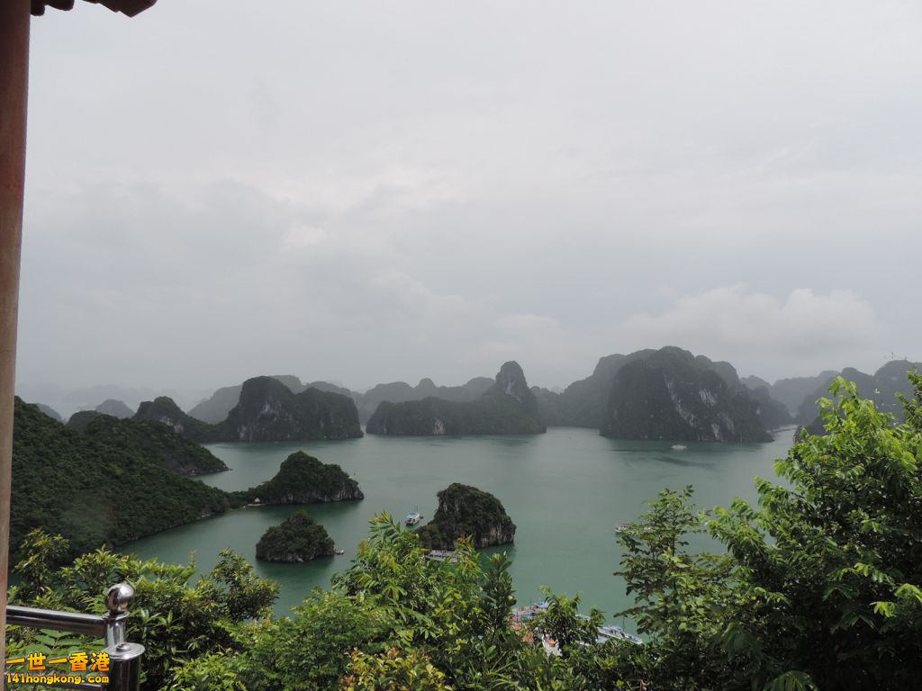 DSCN6224.JPG