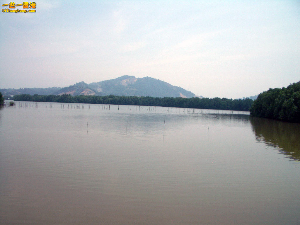 IMGP1456.JPG