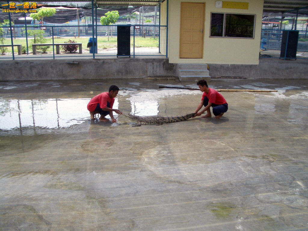 IMGP1374.JPG
