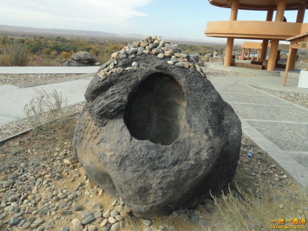 SAM_0664.JPG