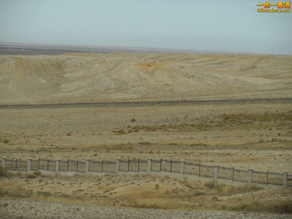 SAM_0672.JPG