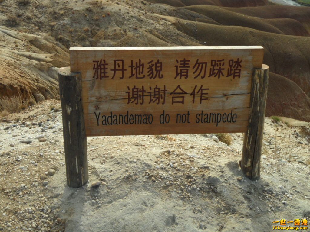SAM_0680.JPG