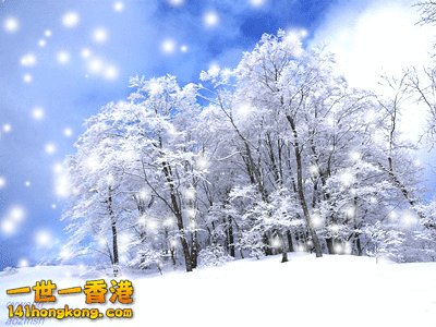雪......gif