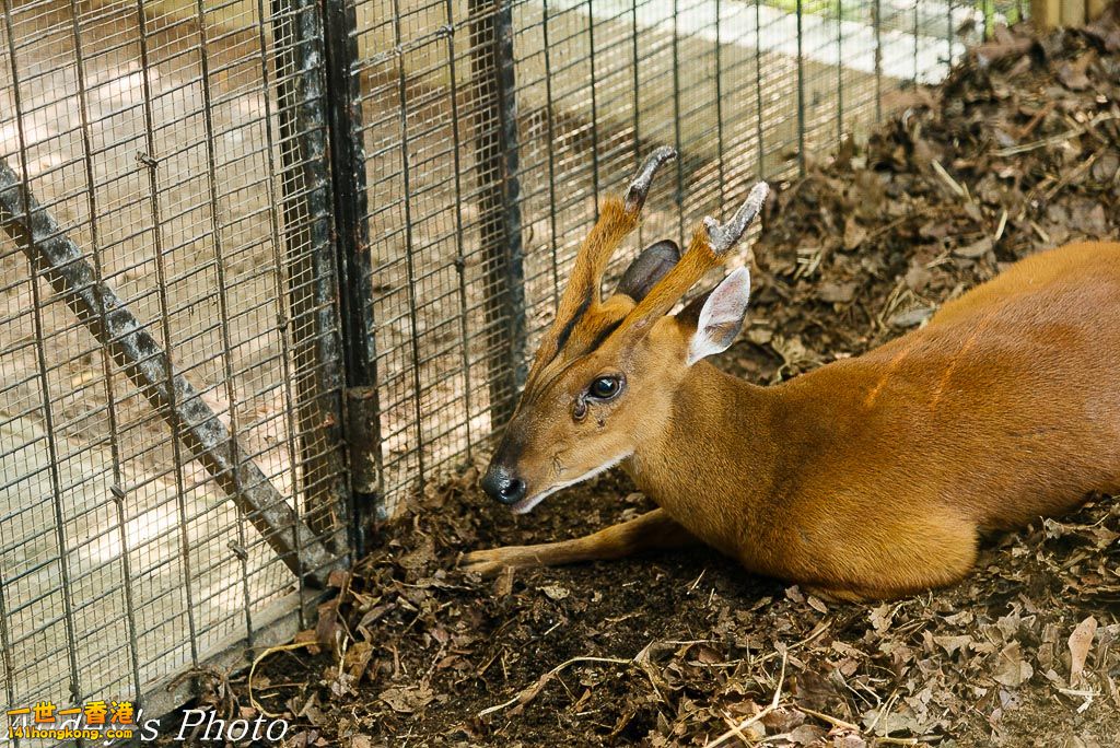 DSC_3044.jpg