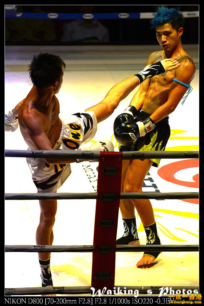 DSC_2915R.jpg