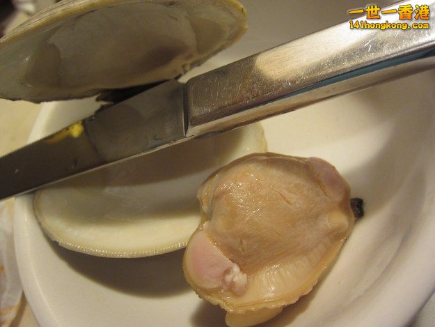 clam3.jpg
