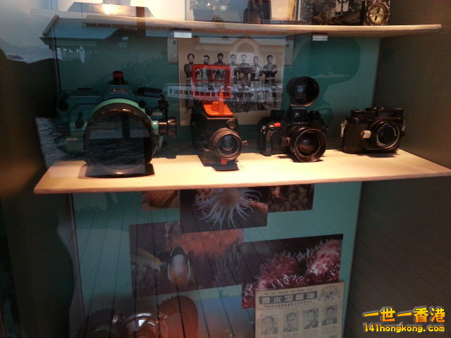 20130327_120022.jpg