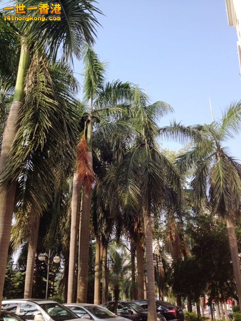 photo.jpg