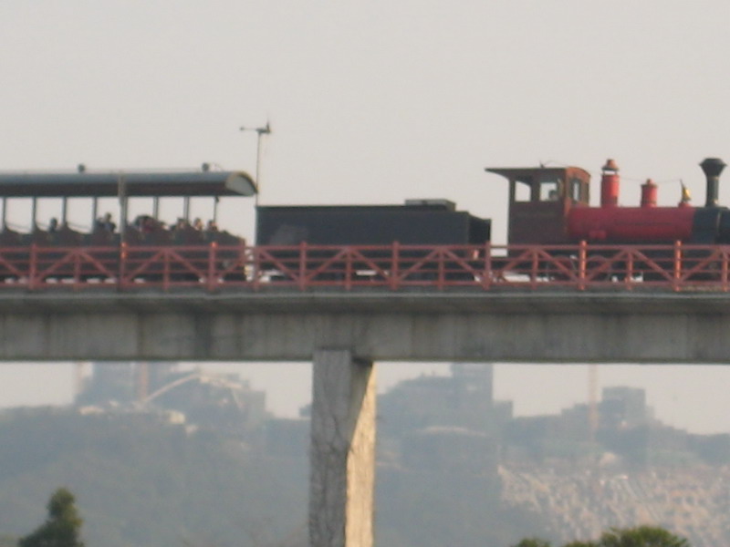IMG_1935_调整大小.JPG