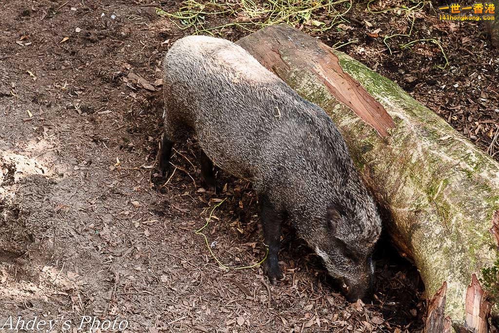 DSC_3093.jpg