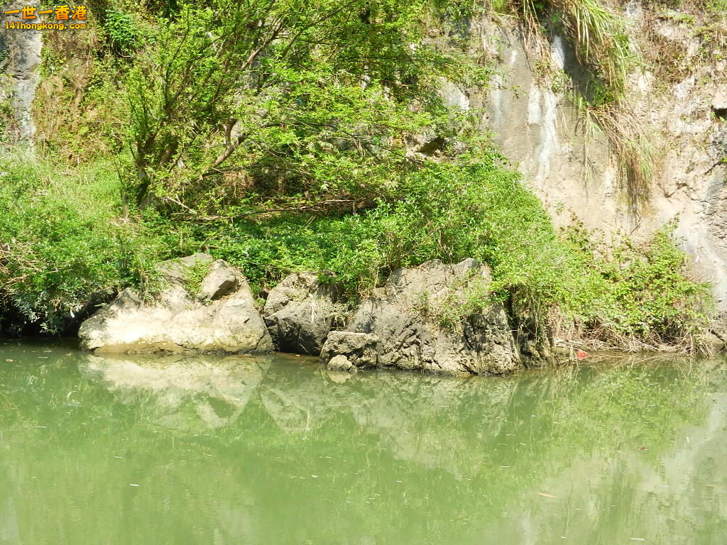 DSCN2703.JPG