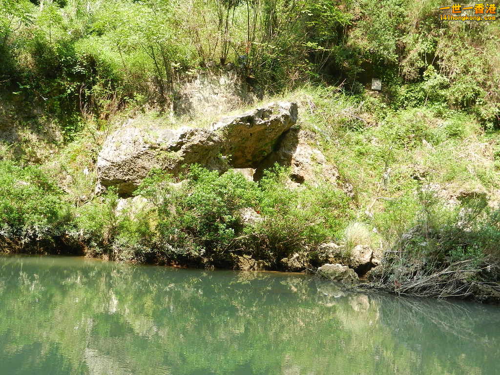 DSCN2720.JPG