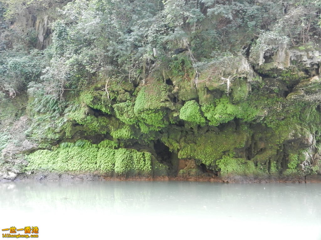 DSCN2822.JPG