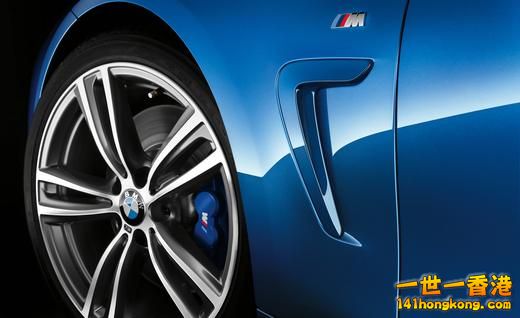 2014-bmw-435i-m-sport-line-convertible-wheel-fender-vent-and-badge-photo-545931-.jpg