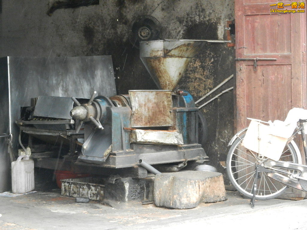DSCN5479.JPG