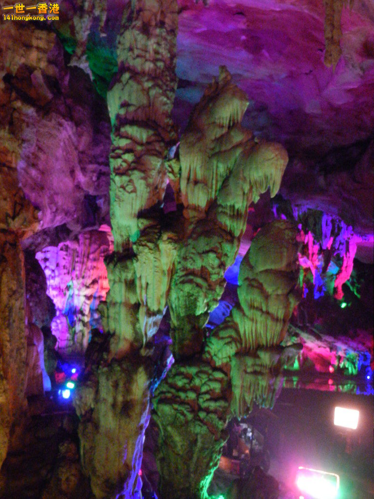 DSCN2917.JPG