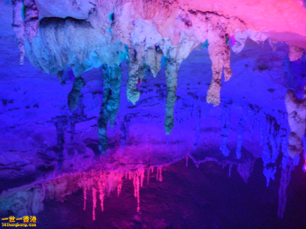 DSCN2960.JPG