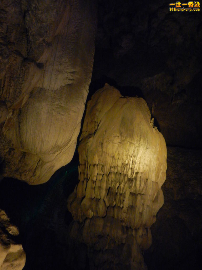 DSCN2984.JPG