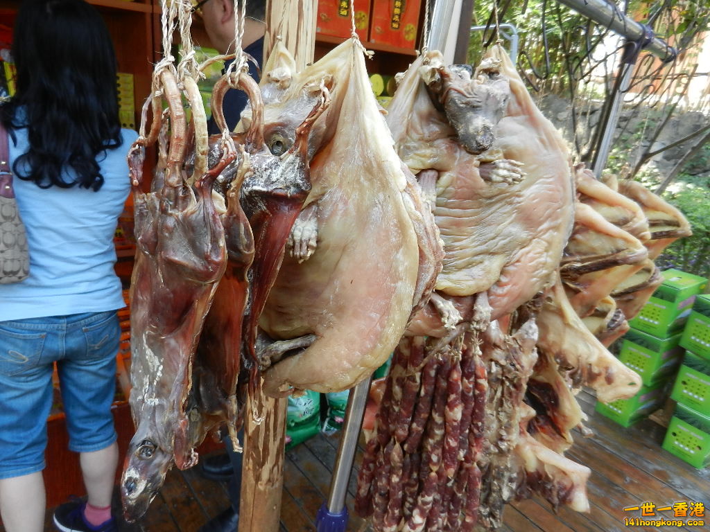 DSCN2676.JPG