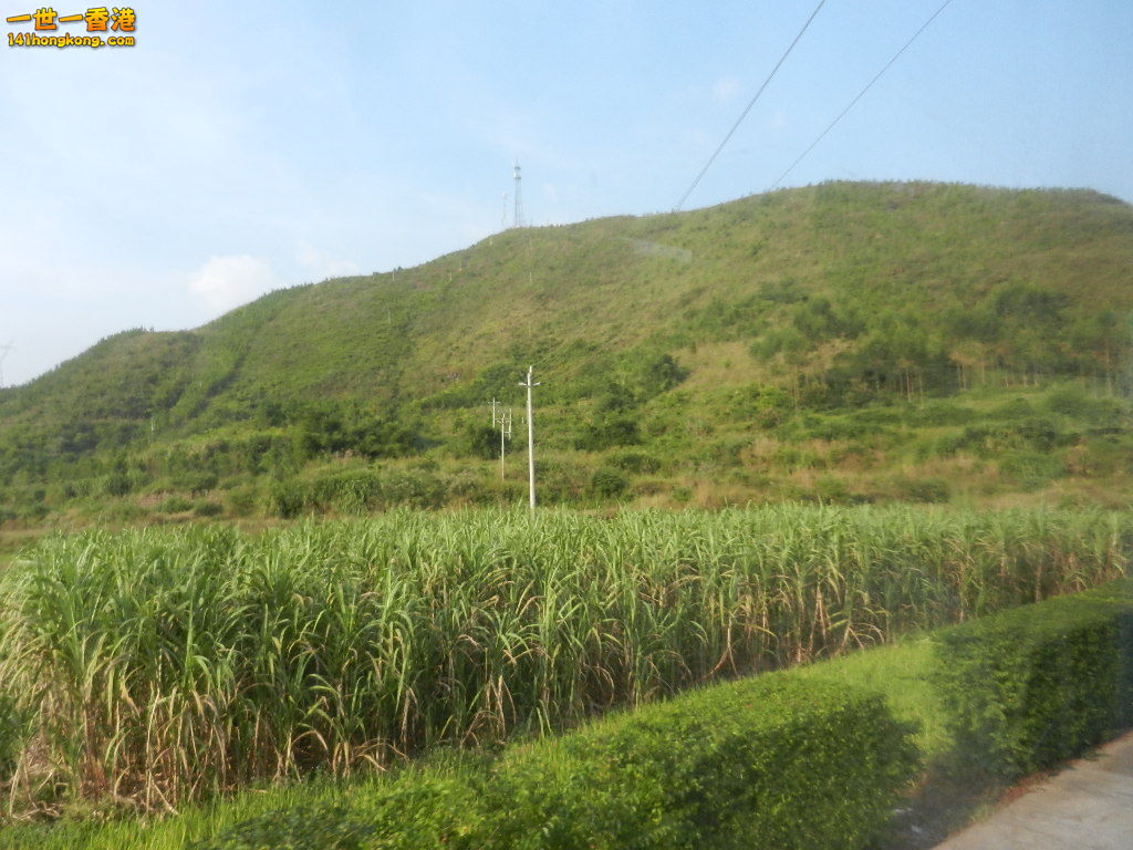 DSCN2867.JPG