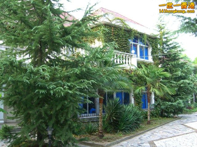 photo.jpg