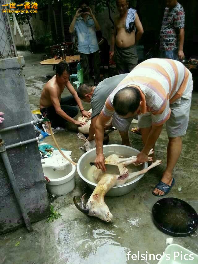 殺羊-05.jpg