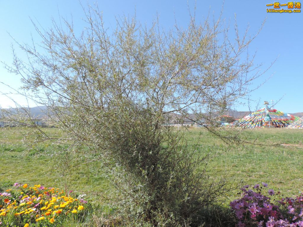 DSCN6898.JPG