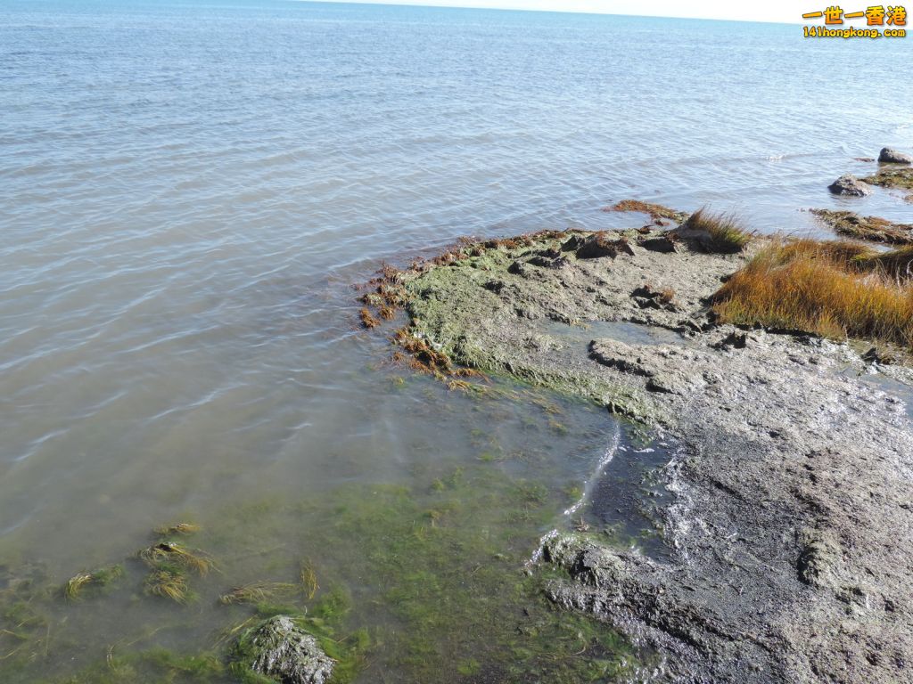 DSCN6928.JPG