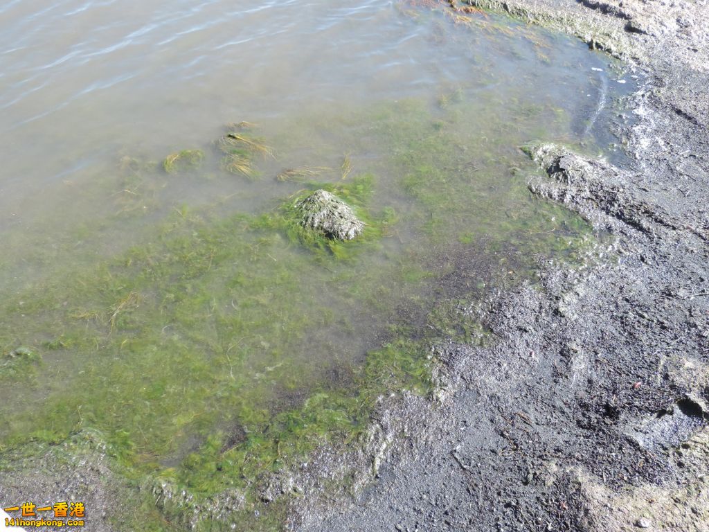 DSCN6929.JPG