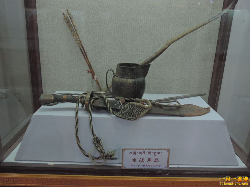 DSCN6987.JPG