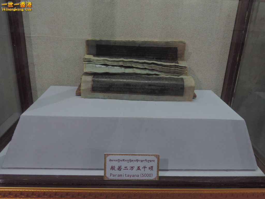 DSCN6991.JPG
