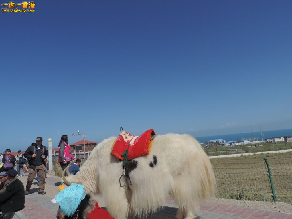 DSCN6997.JPG