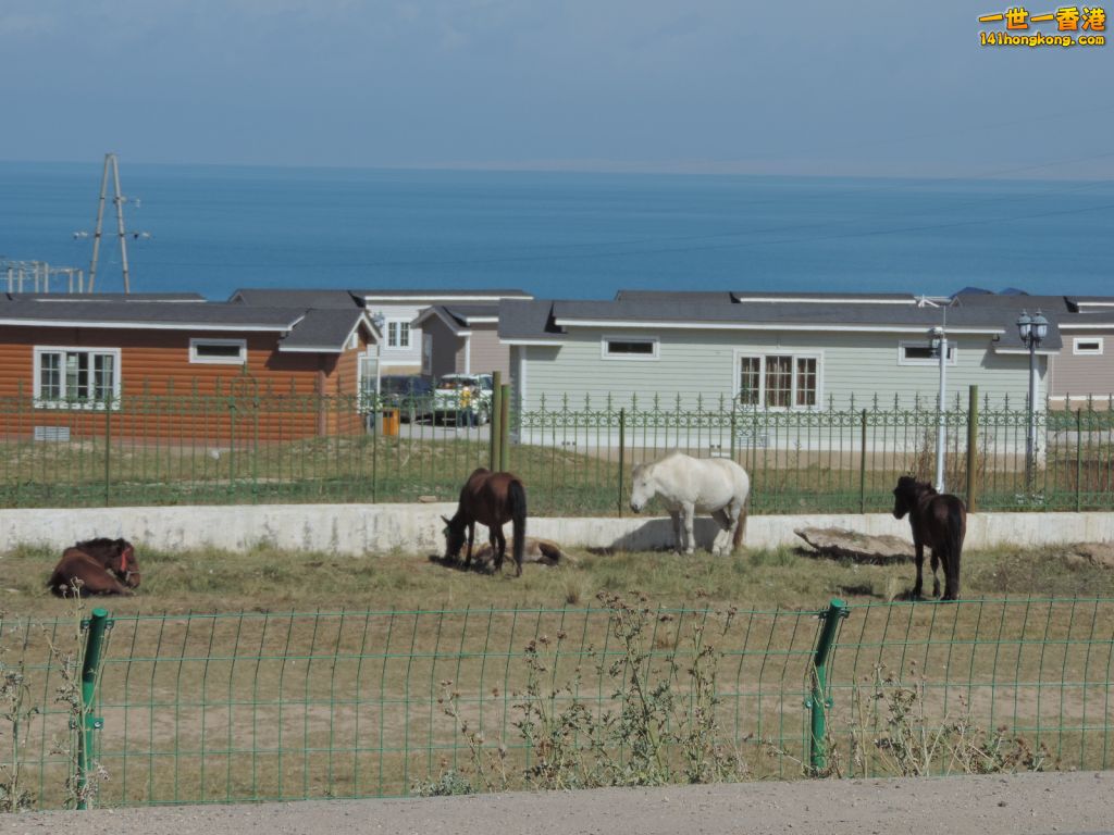 DSCN6998.JPG
