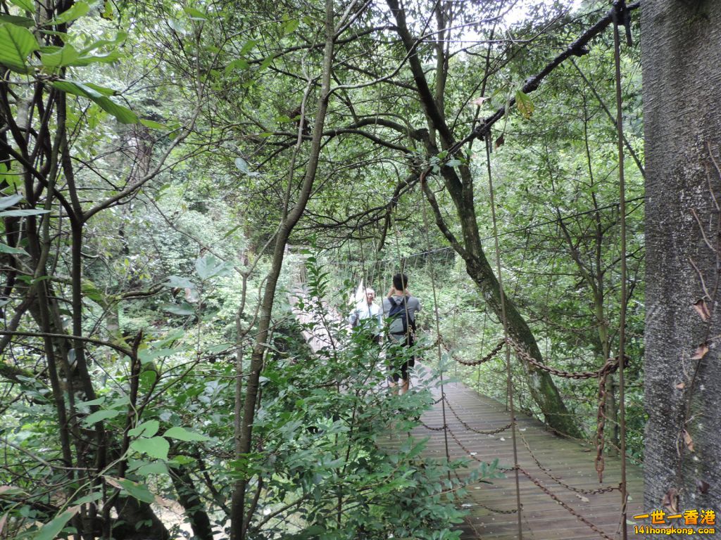 DSCN5504.JPG