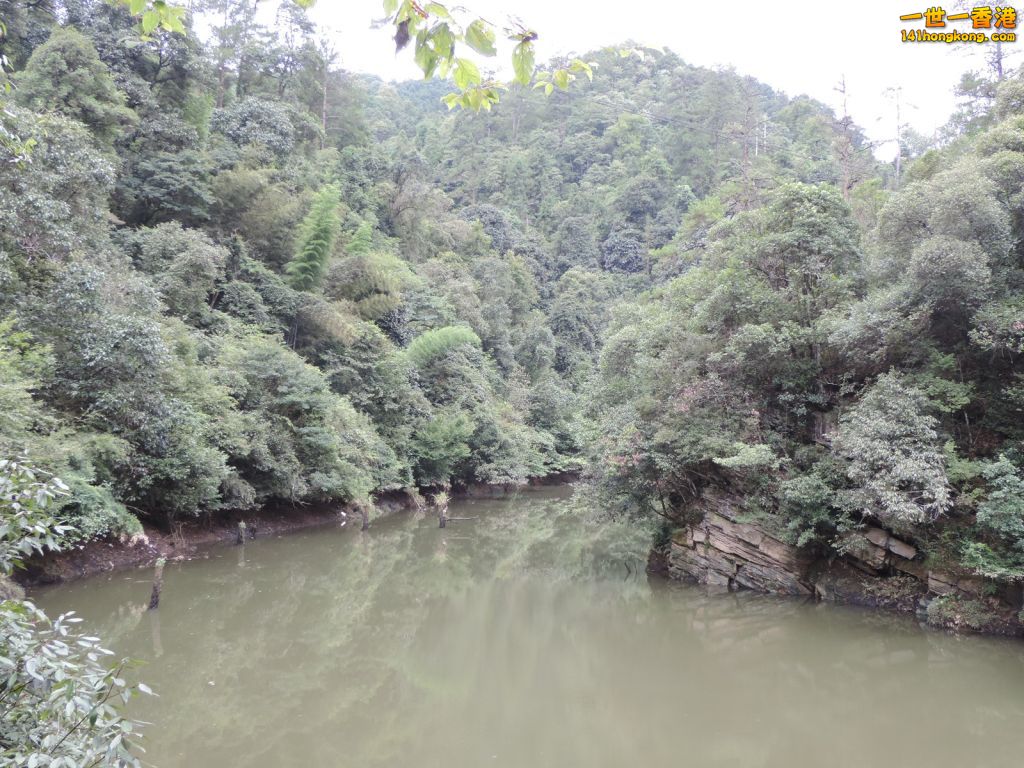 DSCN5496.JPG