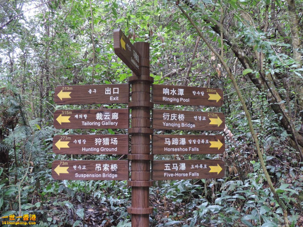 DSCN5506.JPG