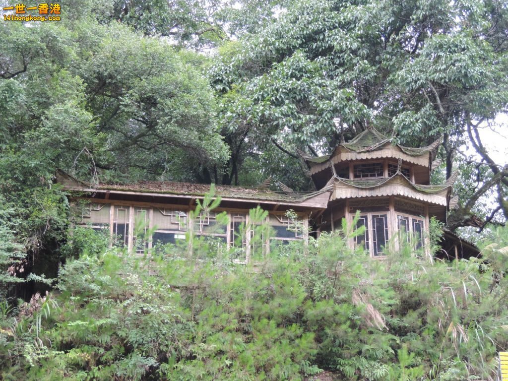 DSCN5515.JPG