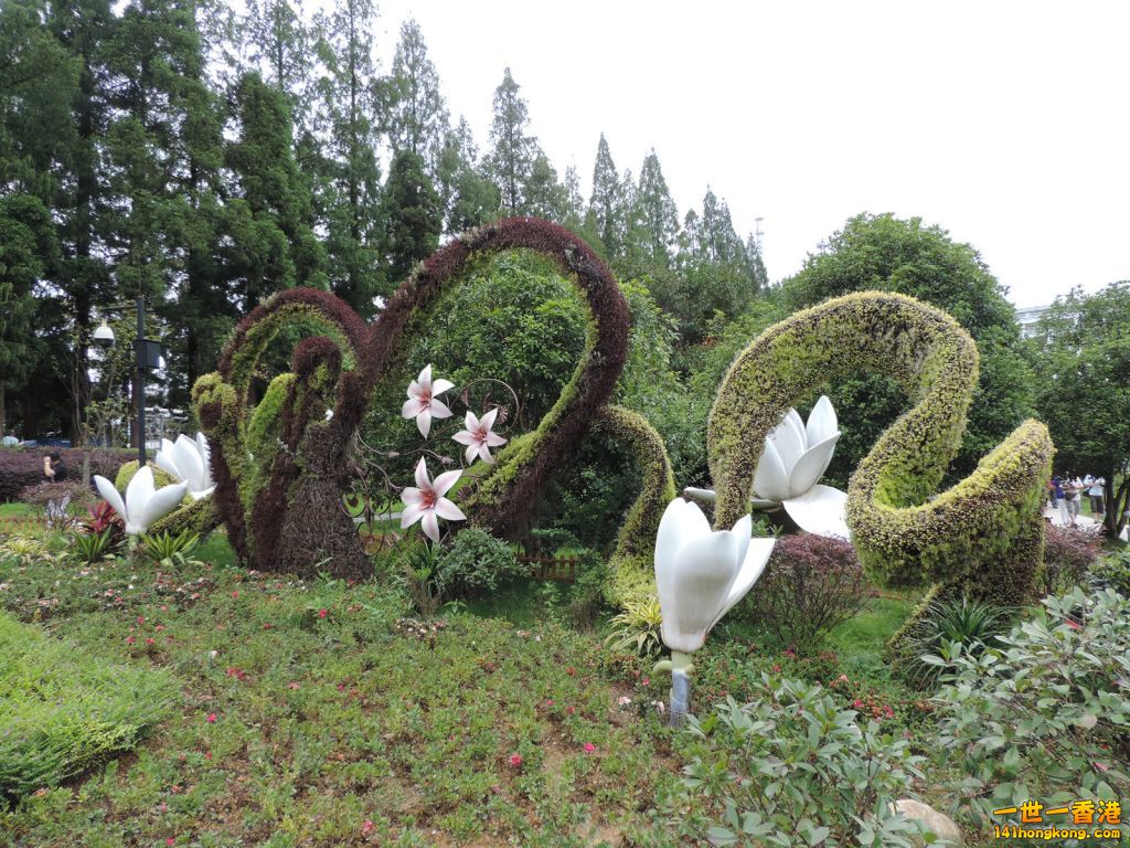 DSCN5533.JPG