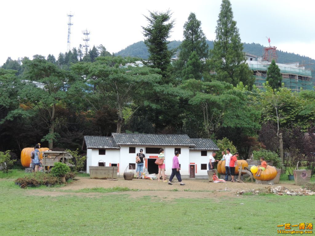 DSCN5540.JPG