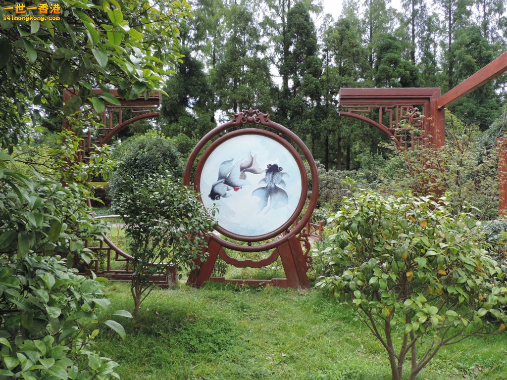DSCN5543.JPG
