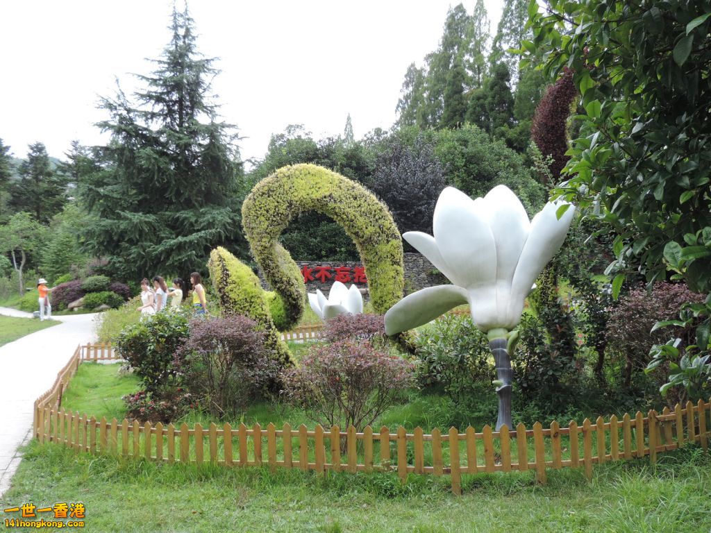 DSCN5544.JPG