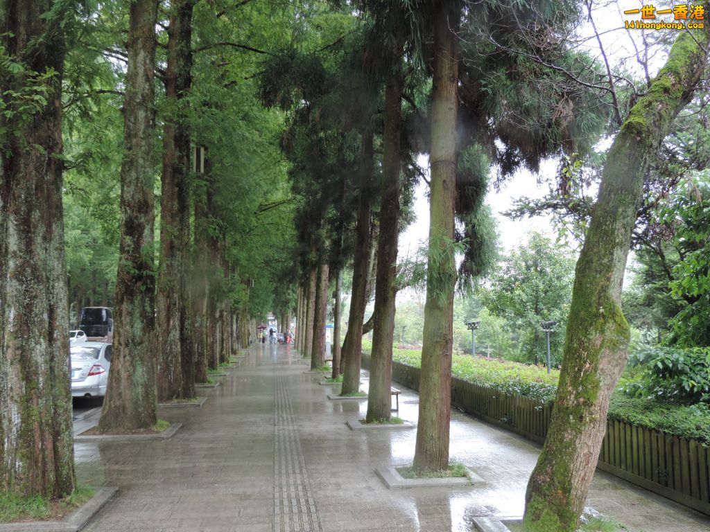 DSCN5560.JPG