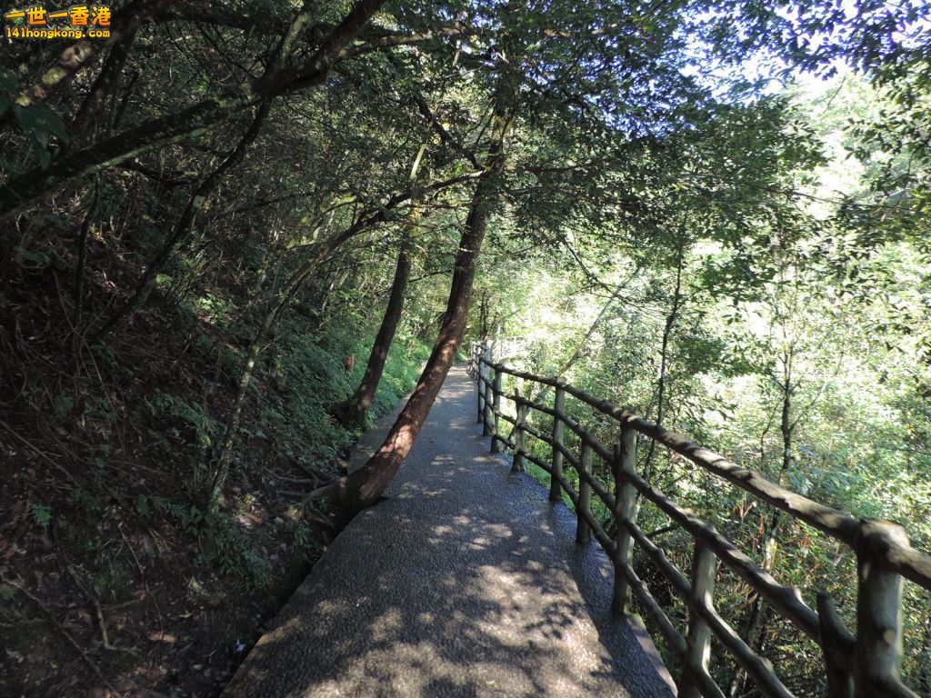 DSCN5628.JPG