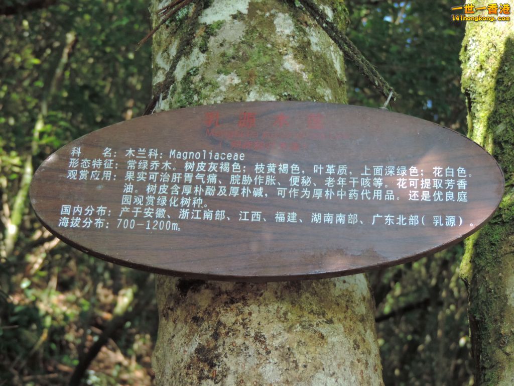 DSCN5627.JPG